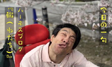 ハーネスブログ『轍(わだち)』